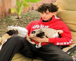 Barboza is an animal lover and has adopted two pugs.